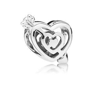 (imagine pentru) Calea spre dragoste - 797814 - Talismane PANDORA