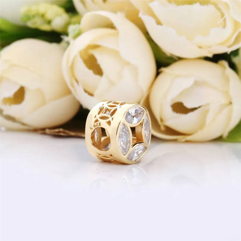(imagine pentru) Talisman Moneda de bună avere din PANDORA Shine - Vizualizare 4