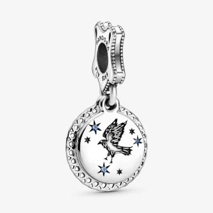 (imagine pentru) Talisman de tip pandantiv Harry Potter, Ochi-de-Șoim - 798831C01