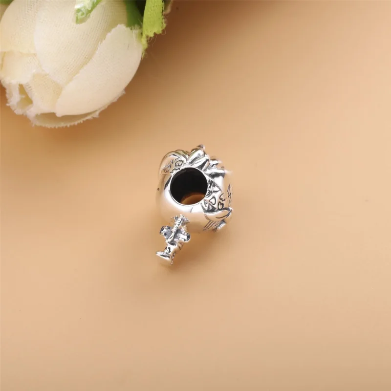 (imagine pentru) Talisman Pandora Băiat adolescent din argint - 798897C00 - Vizualizare 3
