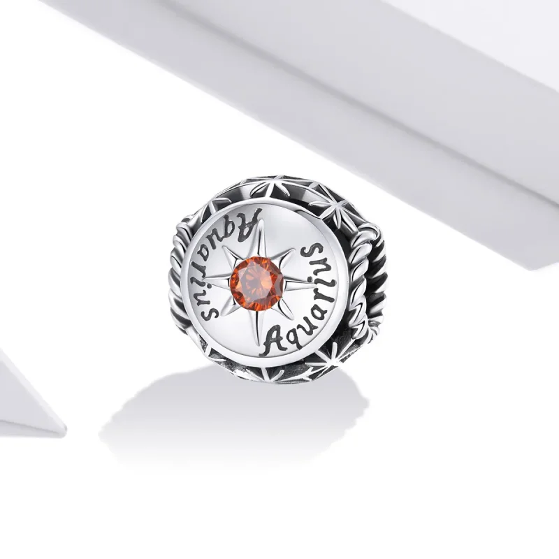 (imagine pentru) Pandora Style Charm Strălucitor pentru Vărsător - SCC1725-11 - Vizualizare 2