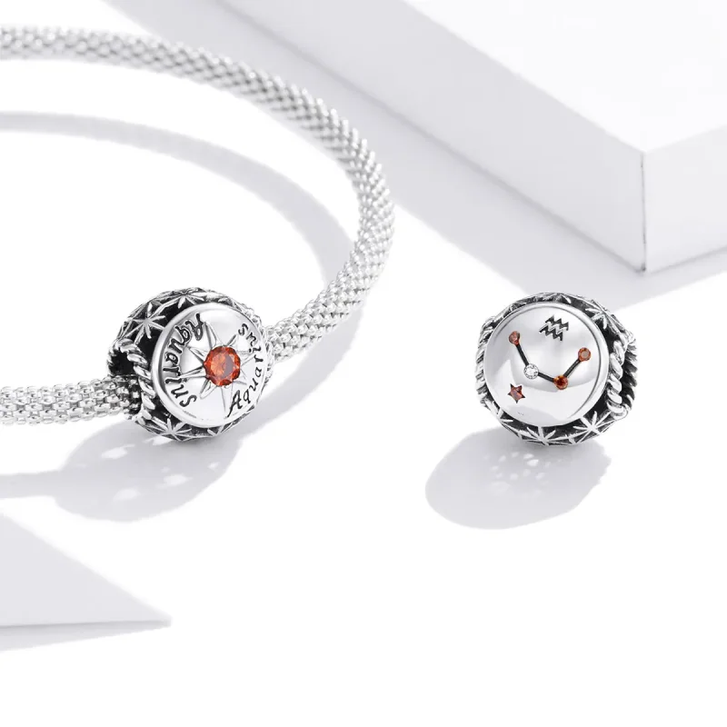 (imagine pentru) Pandora Style Charm Strălucitor pentru Vărsător - SCC1725-11 - Vizualizare 3