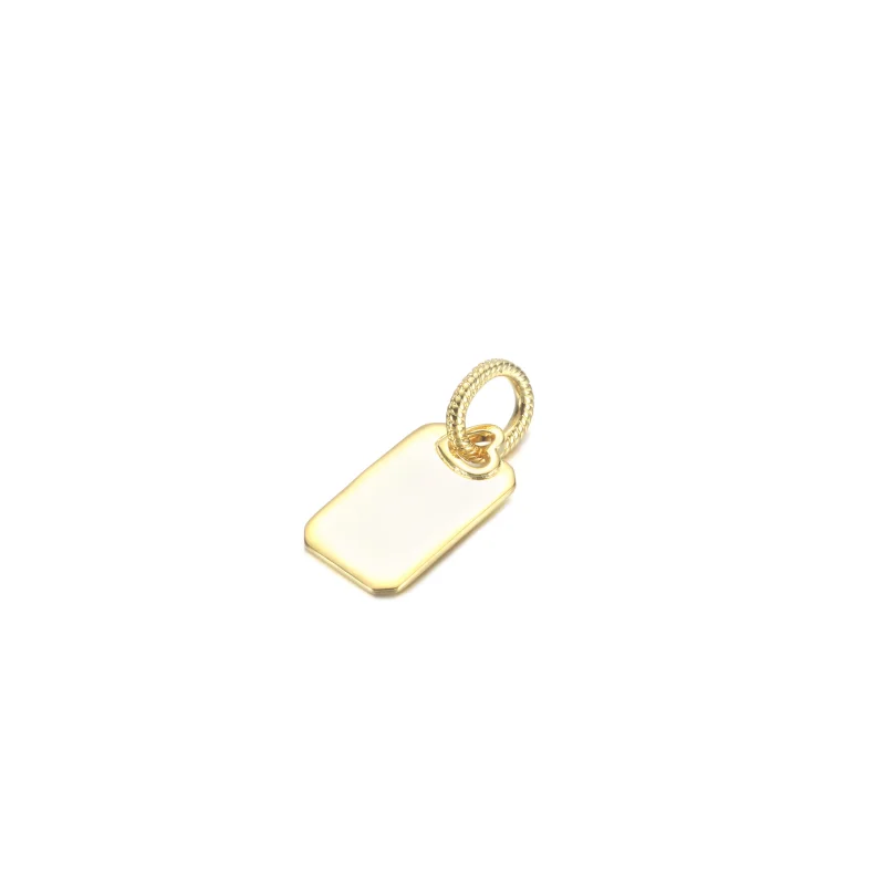 (imagine pentru) PANDORA Medalion rectangular gravabil - 368611C00 - Vizualizare 2