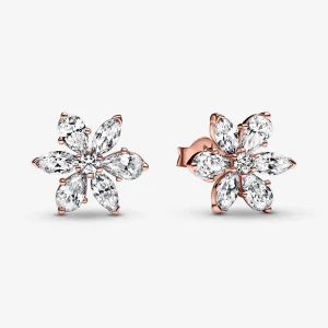 (imagine pentru) PANDORA Stalpi de Cercei cu Cluster Sparkling Herbarium - 282407C01