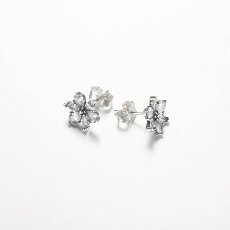 (imagine pentru) Studurile pentru urechi Pandora Sparkling Herbarium Cluster - 292633C01 - Vizualizare 5