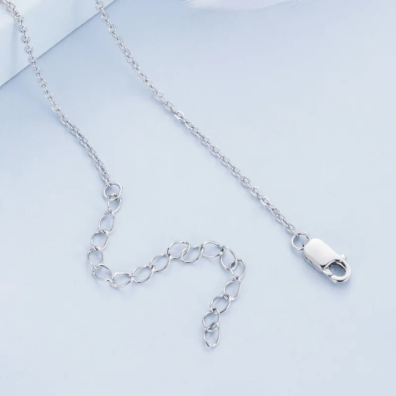 (imagine pentru) Colier stil Pandora cu pene - BSN346 - Vizualizare 4
