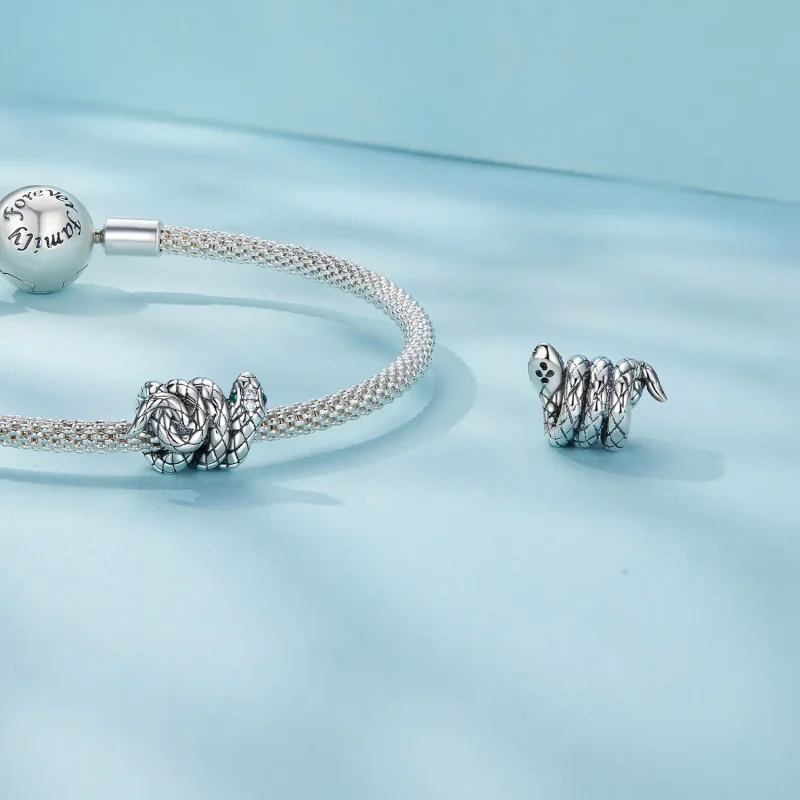(imagine pentru) Pandora Stil Spirala Spirit Șarpe Charm - SCC2549 - Vizualizare 4