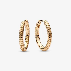 (imagine pentru) Cercei rotunzi cu talismane de mici dimensiuni Pandora Moments - 262728C00