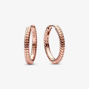 (imagine pentru) Cercei rotunzi cu talismane de mici dimensiuni Pandora Moments - 282728C00