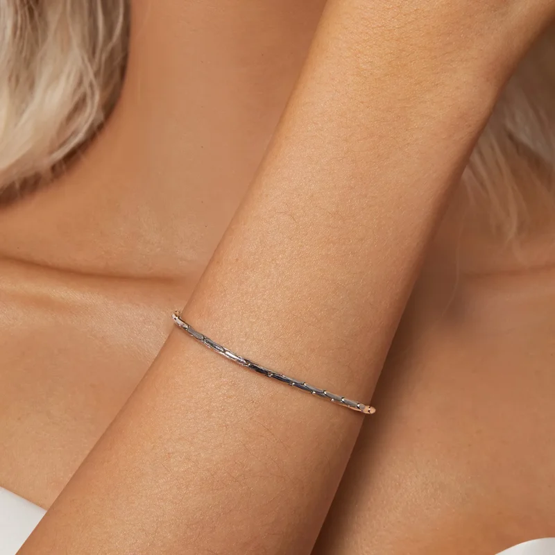 (imagine pentru) Brățară de bază PANDORA Tip Fashion - BSB173 - Vizualizare 5