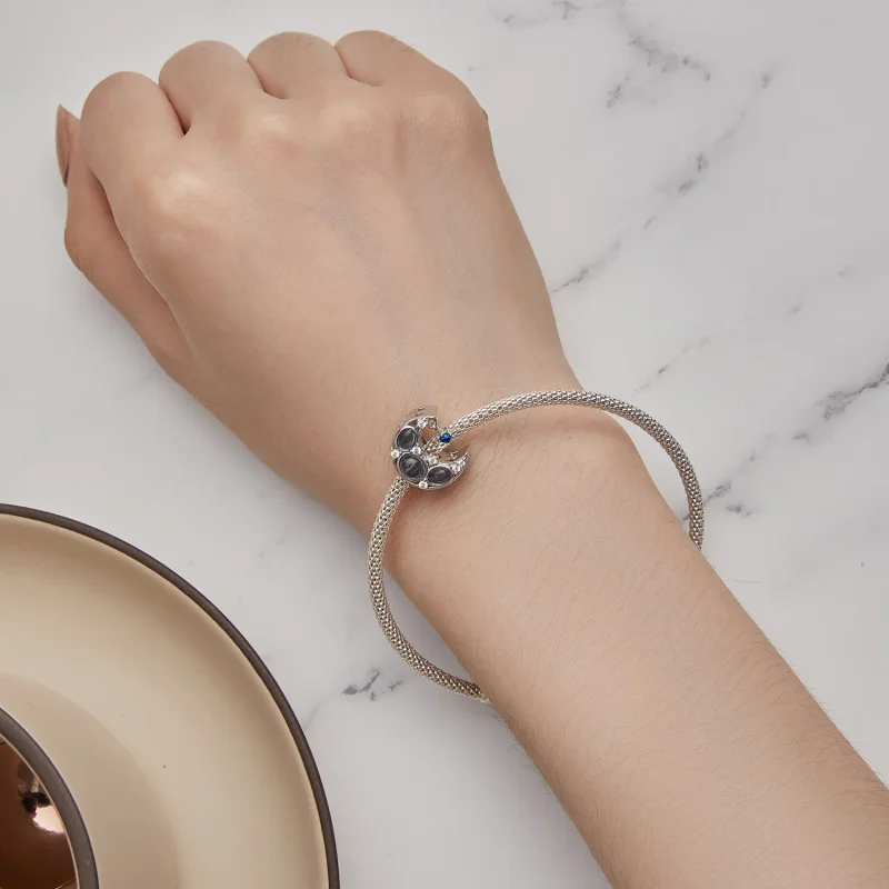 (imagine pentru) Pandora Stil Lună Charm - BSC872 - Vizualizare 6