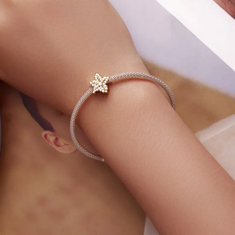 (imagine pentru) Pandora Style Charm cu frunză de arțar - BSC673 - Vizualizare 6