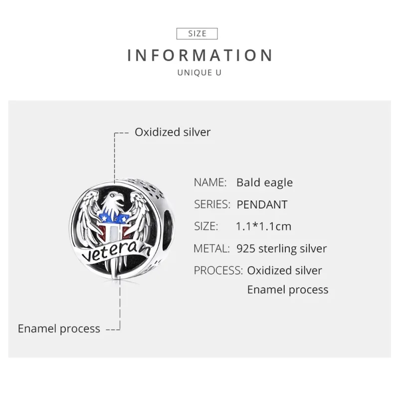 (imagine pentru) Pandora Style Charm Veteran Argint - SCC1885 - Vizualizare 7