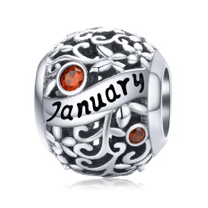 (imagine pentru) Talisman Tip Pandora Ianuarie Birthstone din argint - SCC1385-1