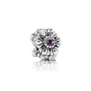 (imagine pentru) Talisman piatra lunii februarie - ametist - 790580AM - Talismane