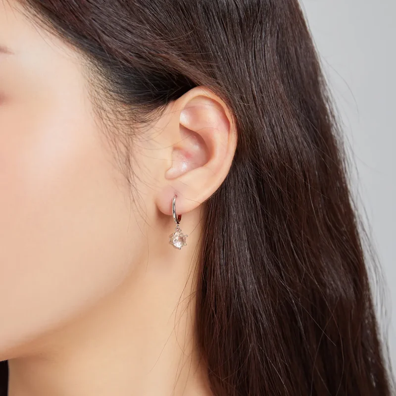 (imagine pentru) Cercei lungi Tip Pandora cu Zirconiu cubic din argint - SCE1020-CG - Vizualizare 4