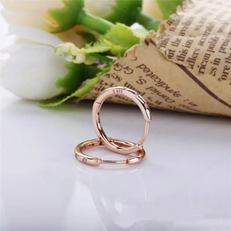 (imagine pentru) Stropi - 286244CZ - Cercei PANDORA - Vizualizare 2