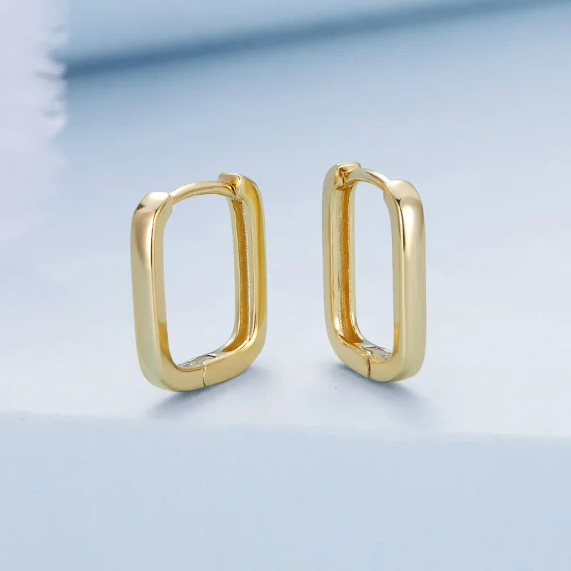 (imagine pentru) Stil Pandora Cercei Hoop Francezi - BSE478-B - Vizualizare 8