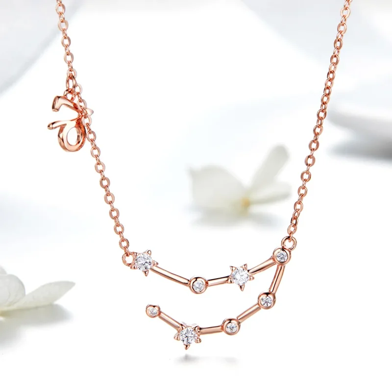 (imagine pentru) Colier stil Pandora cu zodia Capricorn - BSN026 - Vizualizare 2