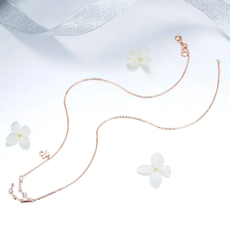 (imagine pentru) Colier stil Pandora cu zodia Capricorn - BSN026 - Vizualizare 5