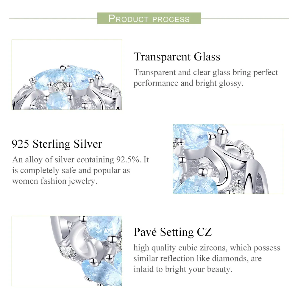 Talisman Tip Pandora Fulgi de zăpadă eleganți din argint - SCC941