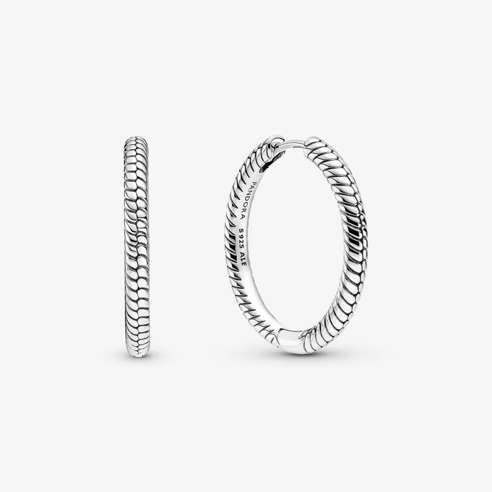 cercei pandora moments charm hoop 299532c00
