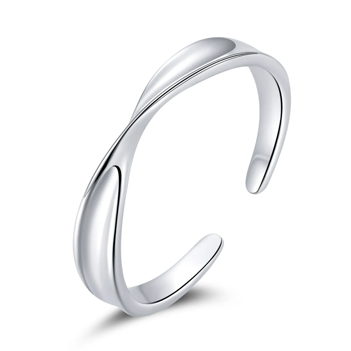 Pandora Style Mobius Ring Pair Ring - Male Open Ring - SCR751