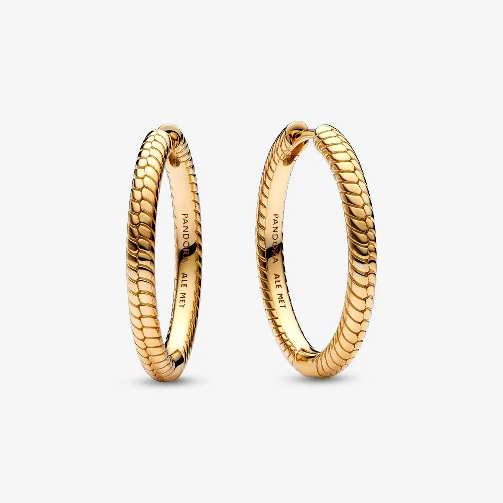 cercei pandora moments charm hoop 269532c00