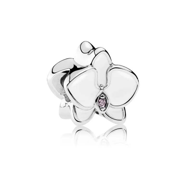 orhidee albă pandora 792074en12