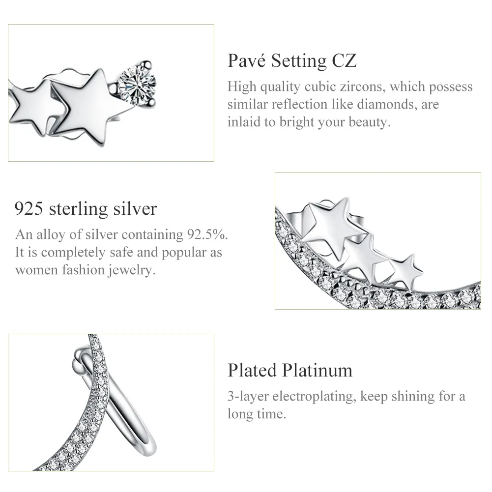 Cercei Tip Pandora cu Vizitator puternic din argint - SCE616